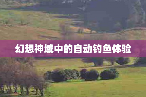 幻想神域中的自动钓鱼体验图片