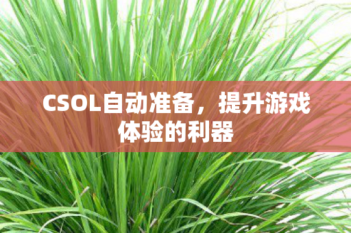 提升游戏体验的利器图片