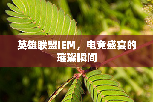 电竞盛宴的璀璨瞬间图片