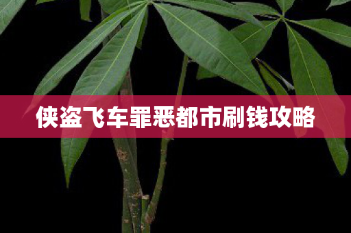 侠盗飞车罪恶都市刷钱攻略图片