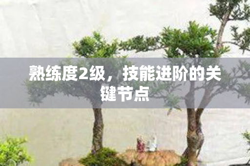 技能进阶的关键节点图片