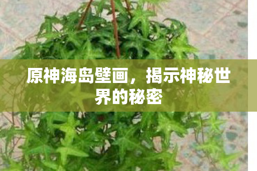 揭示神秘世界的秘密图片
