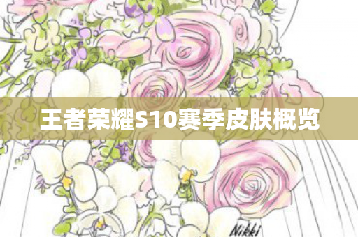 王者荣耀S10赛季皮肤概览图片