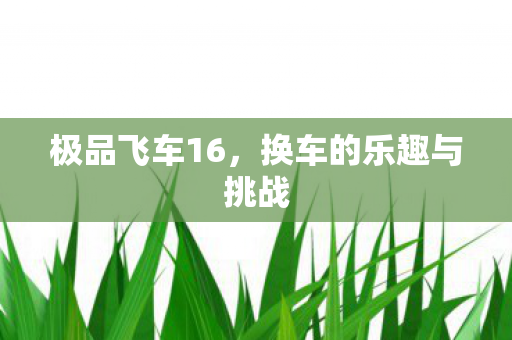 换车的乐趣与挑战图片