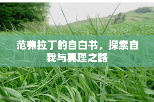探索自我与真理之路图片