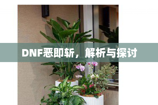 DNF恶即斩图片