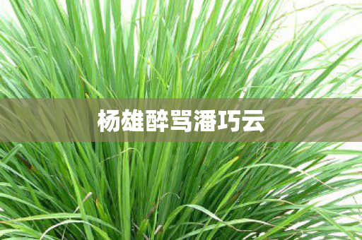 杨雄醉骂潘巧云图片