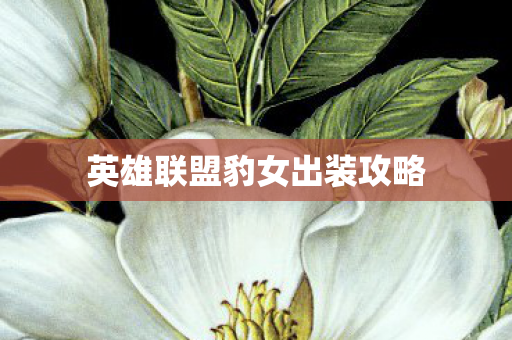 英雄联盟豹女出装攻略图片