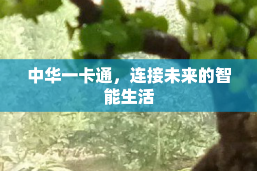 连接未来的智能生活图片