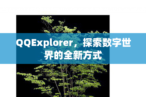 探索数字世界的全新方式图片