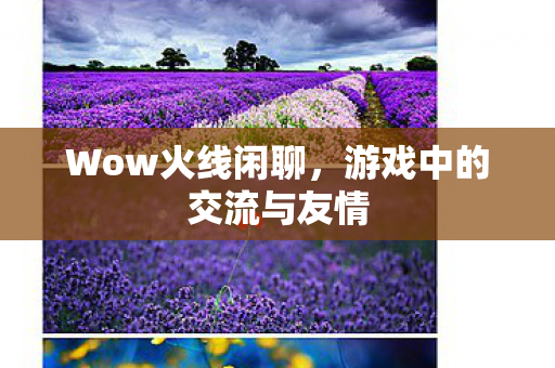游戏中的交流与友情图片