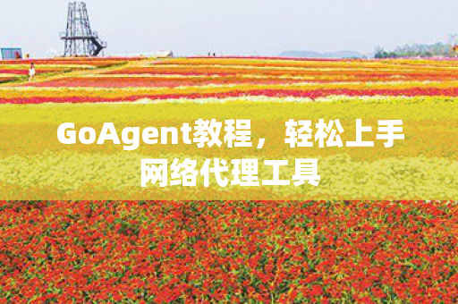 轻松上手网络代理工具图片