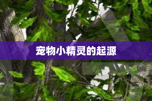 宠物小精灵的起源图片
