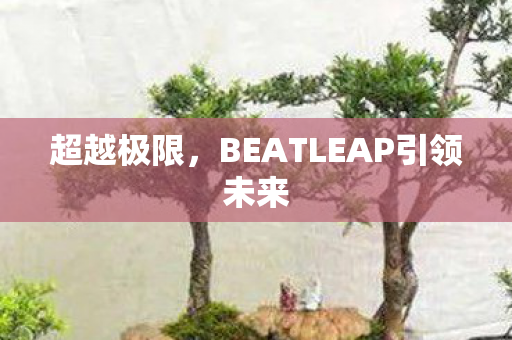 BEATLEAP引领未来图片