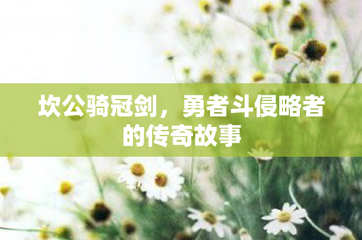勇者斗侵略者的传奇故事图片