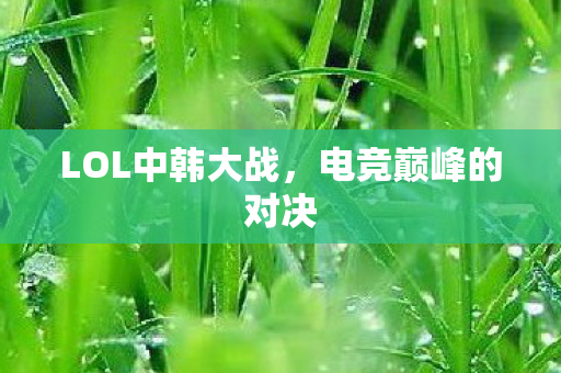 LOL中韩大战图片