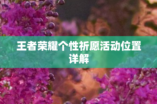 王者荣耀个性祈愿活动位置详解图片