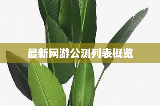 最新网游公测列表概览图片