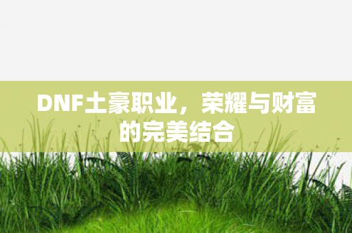 荣耀与财富的完美结合图片