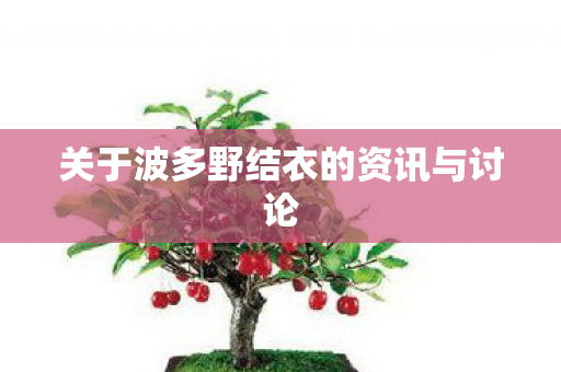 关于波多野结衣的资讯与讨论图片