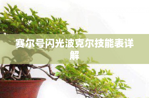 赛尔号闪光波克尔技能表详解图片