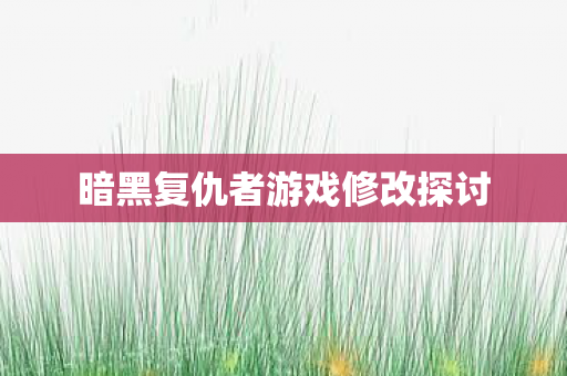 暗黑复仇者游戏修改探讨图片