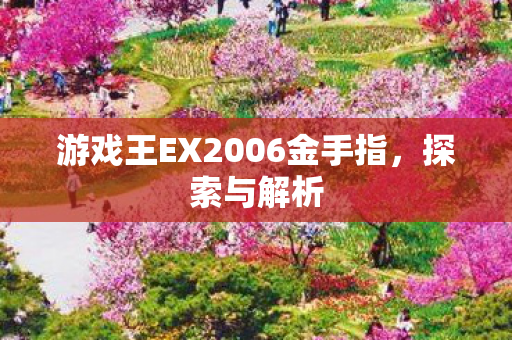 游戏王EX2006金手指图片