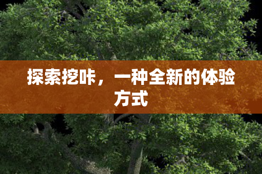 一种全新的体验方式图片