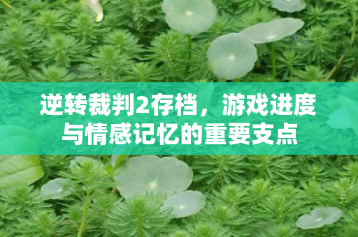 游戏进度与情感记忆的重要支点图片