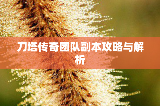 刀塔传奇团队副本攻略与解析图片
