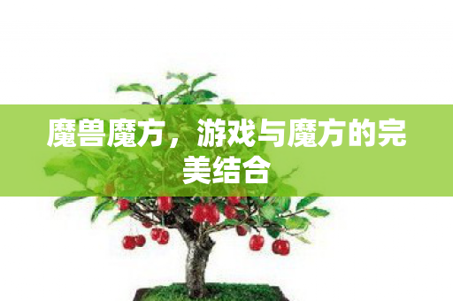 游戏与魔方的完美结合图片
