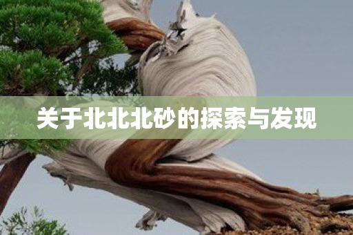关于北北北砂的探索与发现图片