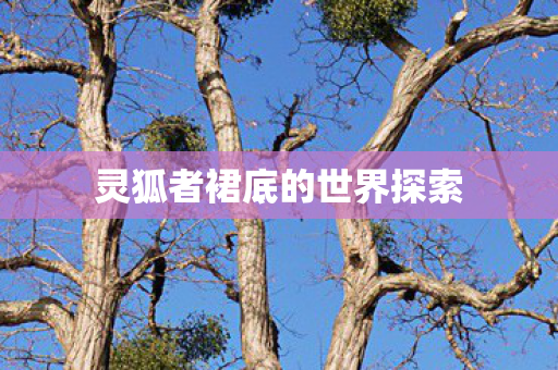 灵狐者裙底的世界探索图片