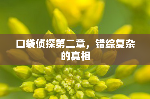 口袋侦探第二章图片