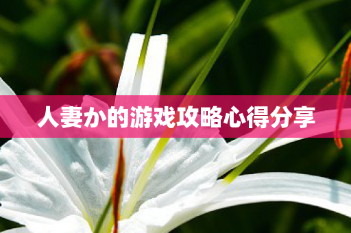 人妻か的游戏攻略心得分享图片