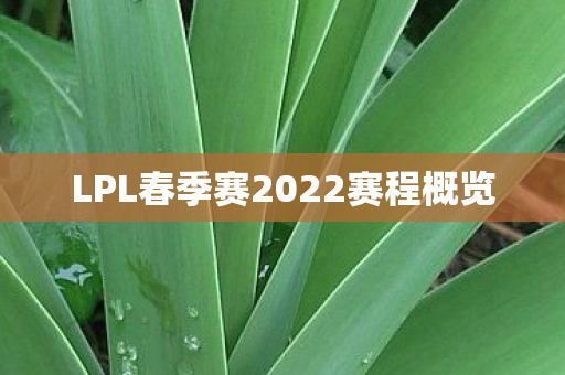LPL春季赛2022赛程概览图片