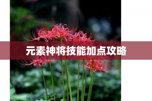 元素神将技能加点攻略图片