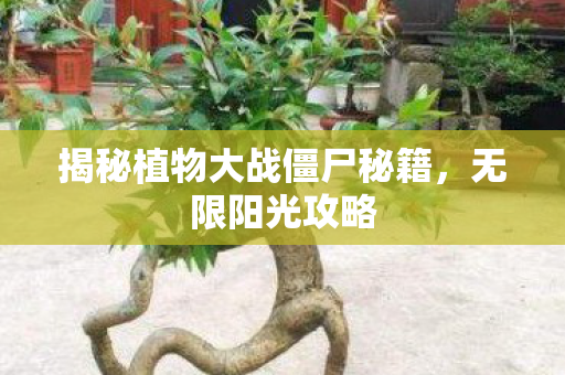 揭秘植物大战僵尸秘籍图片
