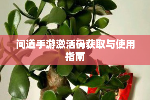 问道手游激活码获取与使用指南图片