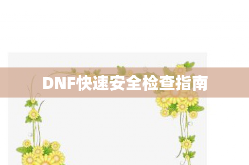 DNF快速安全检查指南图片