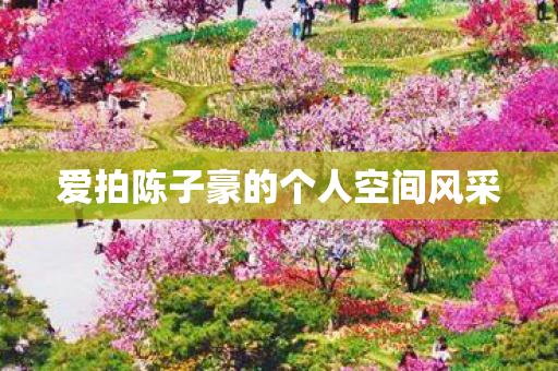 爱拍陈子豪的个人空间风采图片