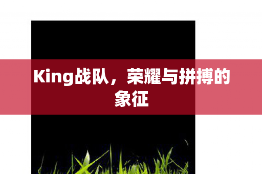 荣耀与拼搏的象征图片