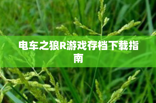 电车之狼R游戏存档下载指南图片