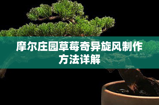 摩尔庄园草莓奇异旋风制作方法详解图片