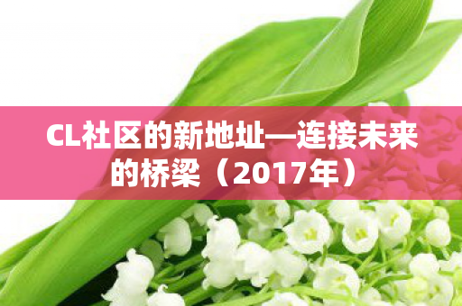 CL社区的新地址图片
