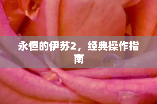 永恒的伊苏2图片