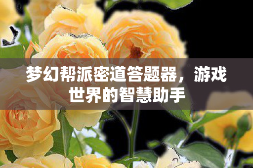 梦幻帮派密道答题器图片