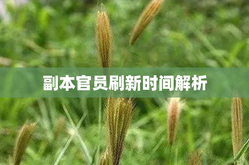 副本官员刷新时间解析图片