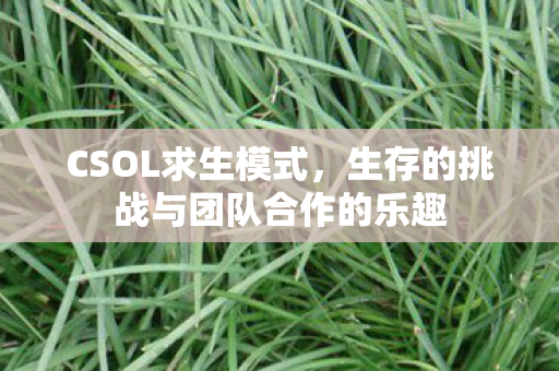 生存的挑战与团队合作的乐趣图片