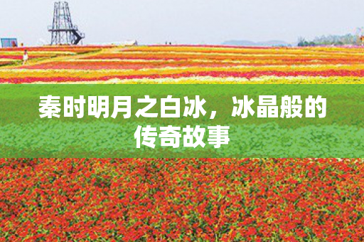冰晶般的传奇故事图片